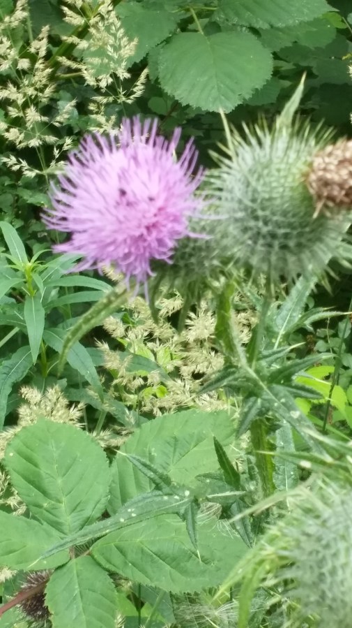 DUE A DEUCHARS&nbsp;?