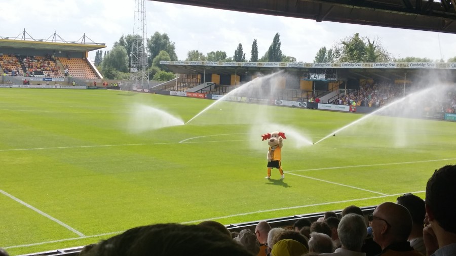 REAL ALE AT THE&nbsp;ETIHAD