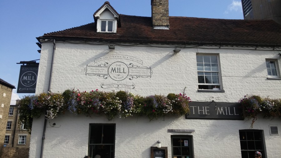 TOP 100 PUBS – THE MILL,&nbsp;CAMBRIDGE