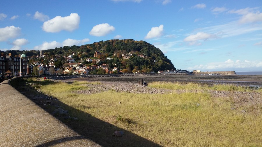 FALLING FOR MINEHEAD