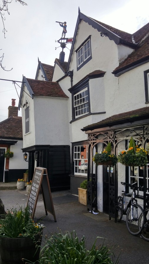 CONTRASTS IN EAST&nbsp;MOLESEY