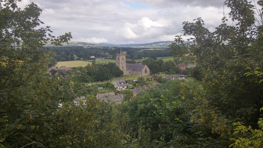 PROPER PUBS IN&nbsp;MONTGOMERYSHIRE