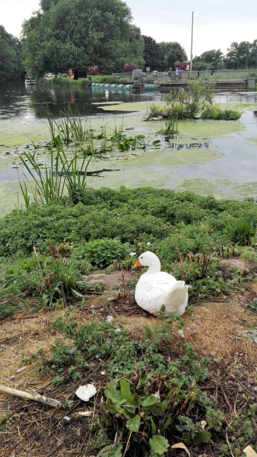 NEW SPOONS ON&nbsp;MONDAY