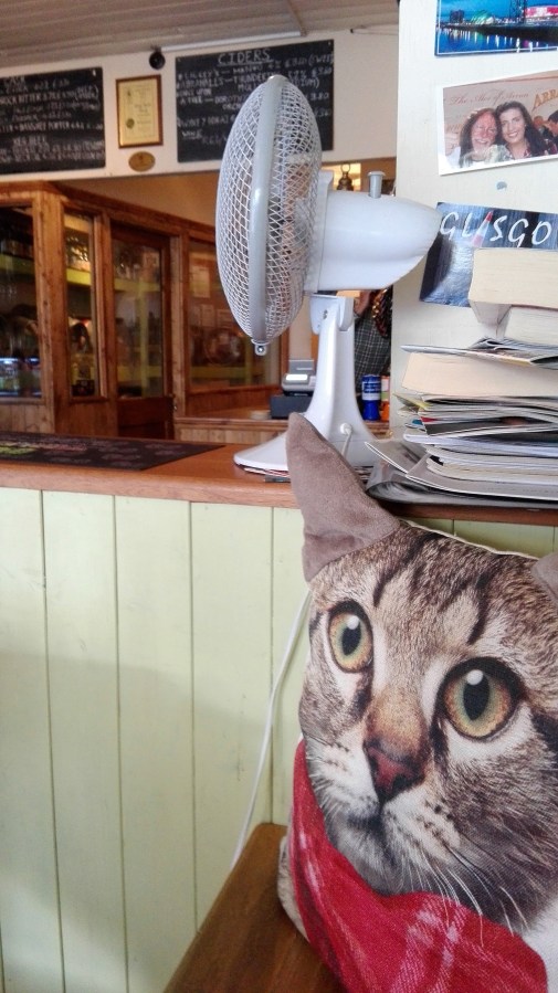 CHELMSFORD – REAL MICROPUBS,  FAKE PUB&nbsp;CATS