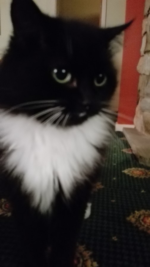 “LIVE AS YOU DREAM” – DEREHAM IN A&nbsp;CAMPERVAN