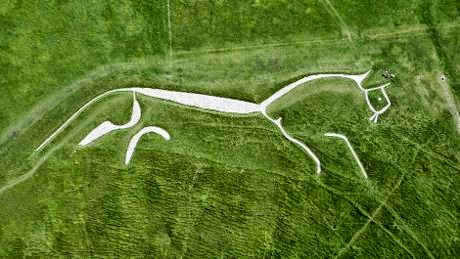 Image result for white horse wantage