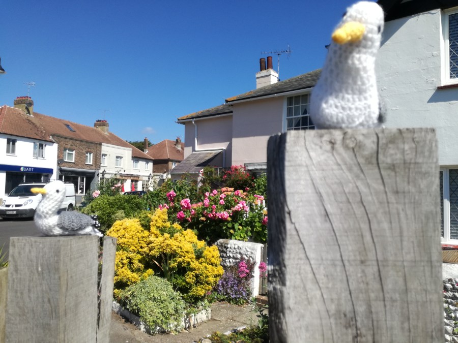 A TRIBUTE TO KNITTED SEAGULLS IN EAST&nbsp;PRESTON