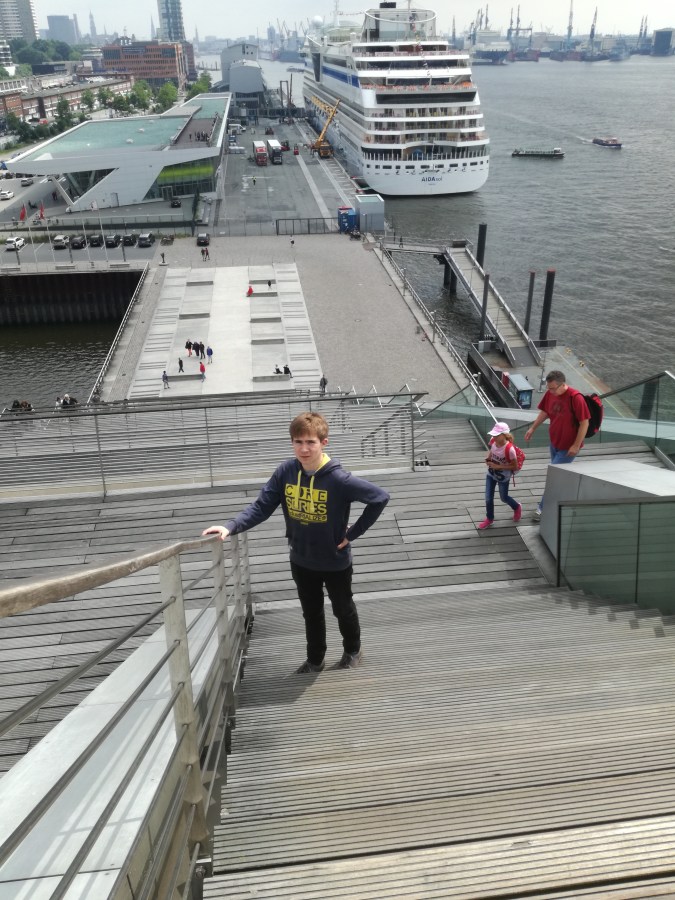 GRUMPY CAT ON THE&nbsp;ELBE