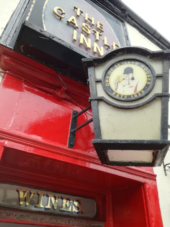 KENDAL – CATS, DOGS &&nbsp;CHINTZ