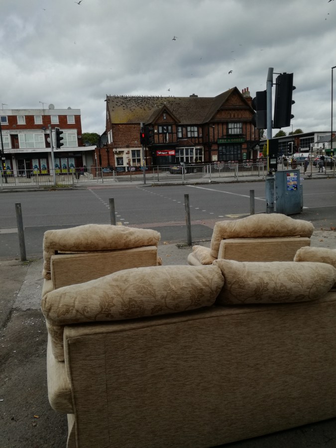 GONNA LIVE, ALUM&nbsp;ROCK