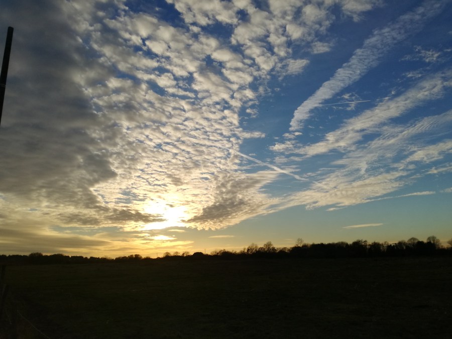 CHASING BRAPA INTO&nbsp;DENGIE