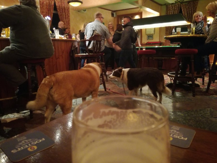 HARTSHEAD – PUB OR KENNEL&nbsp;?