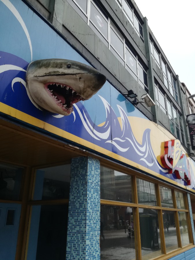 SHARKS IN SOUTH&nbsp;SHIELDS