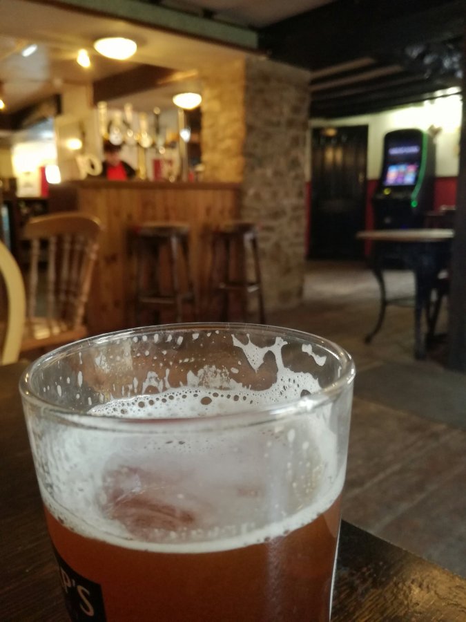 THE LONELINESS OF THE LONE OTTER&nbsp;DRINKER