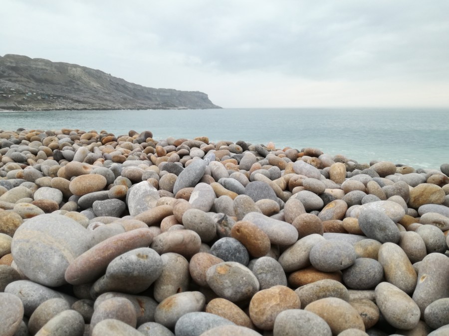 PORTLAND SOCIAL CLUB – THE DIFFICULT SECOND&nbsp;ALBUM