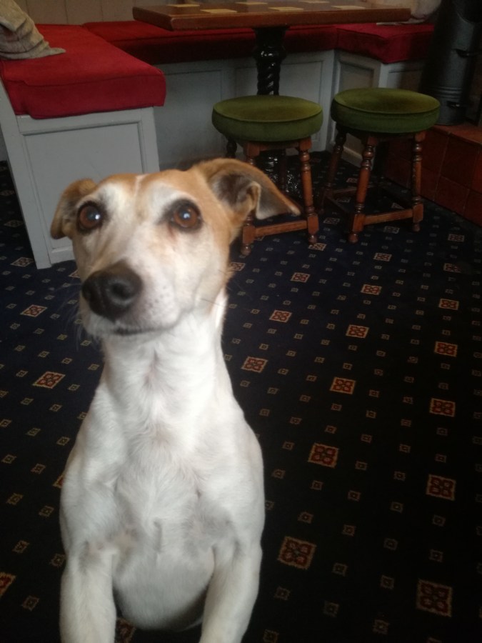 FISHING FOR BASS IN LYME&nbsp;REGIS