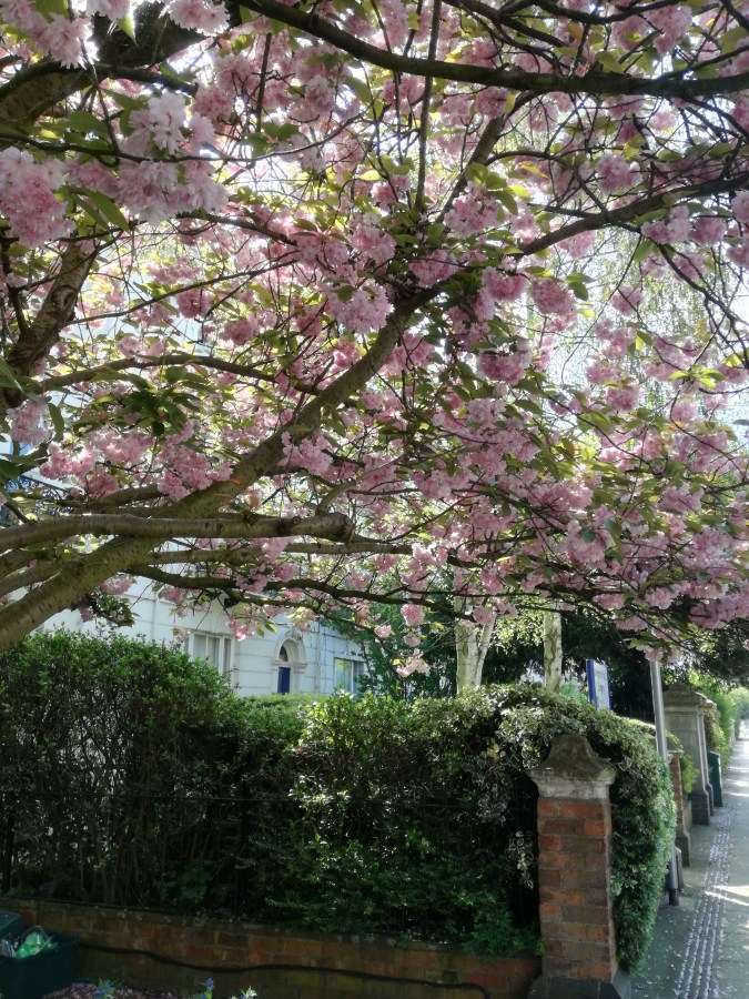 IT WAS 20 YEARS AGO&nbsp;TODAY