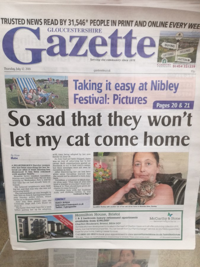 CAT ADOPTION DRAMA IN WOTTON-UNDER-EDGE