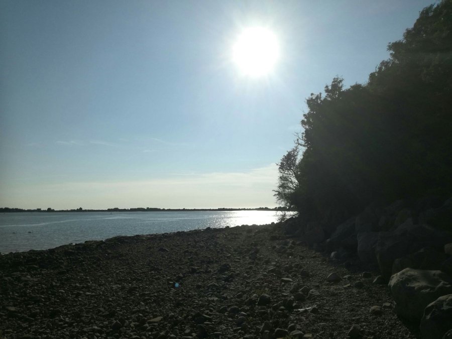 OVER THE MOON IN&nbsp;OVERTON