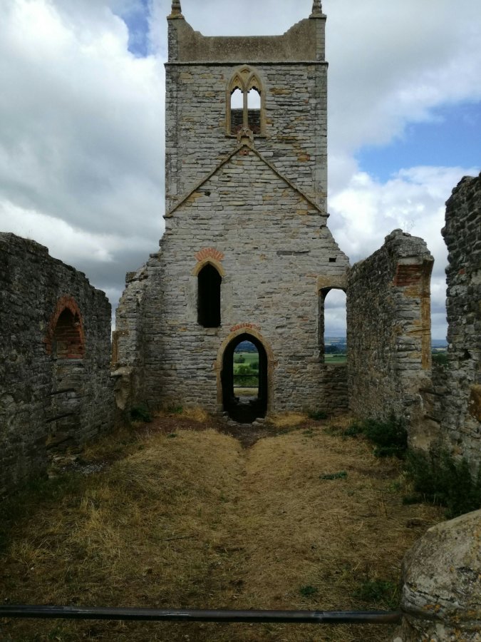 OTTERS AND WOMBATS ON THE SOMERSET&nbsp;LEVELS