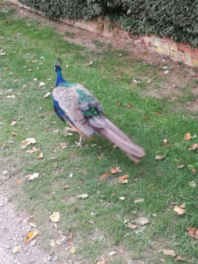 HOPE FOR CASK AT THE END OF THE&nbsp;ROAD