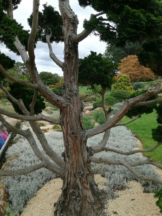 GETTING DAD OUT OF THE&nbsp;HOUSE