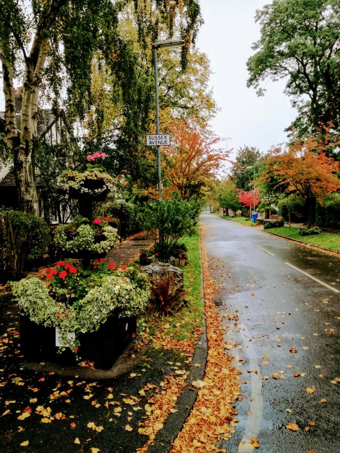 POST-INDYMAN – WALKING DOWN THE WILMSLOW&nbsp;ROAD