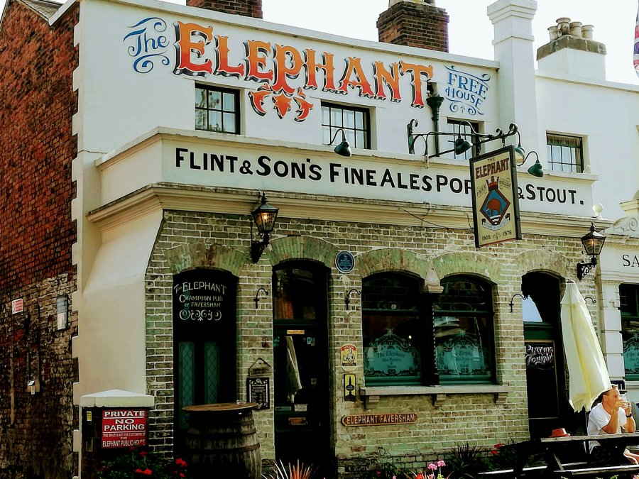 FAVERSHAM FEEDING FRENZY