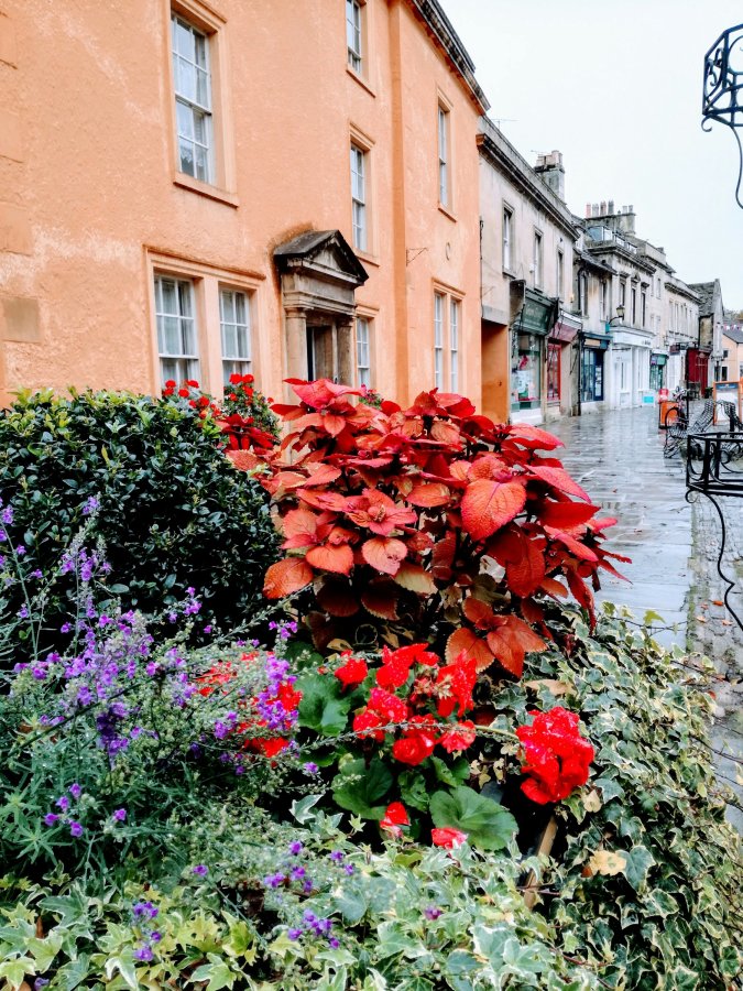 CORSHAM – WINTER&nbsp;KILLS