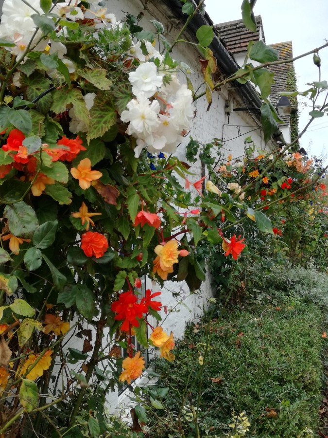 THE BRAPA HUNT(S)  VOL 1 – THE&nbsp;BROMSWOLD