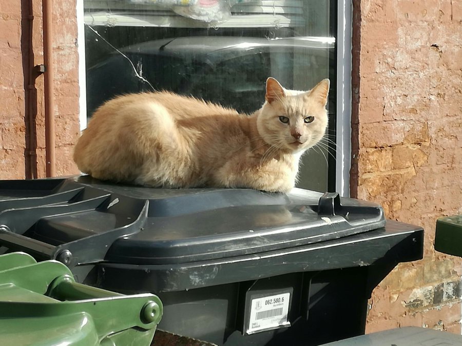 BLOWING BUBBLES OVER THE&nbsp;YARE