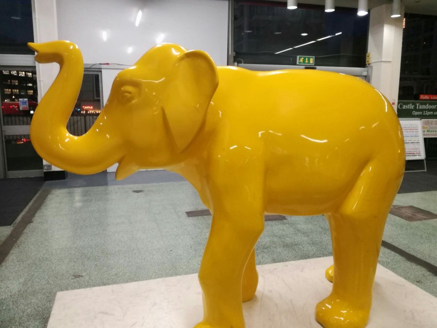 THE ELEPHANT & CASTLE IN THE&nbsp;ROOM