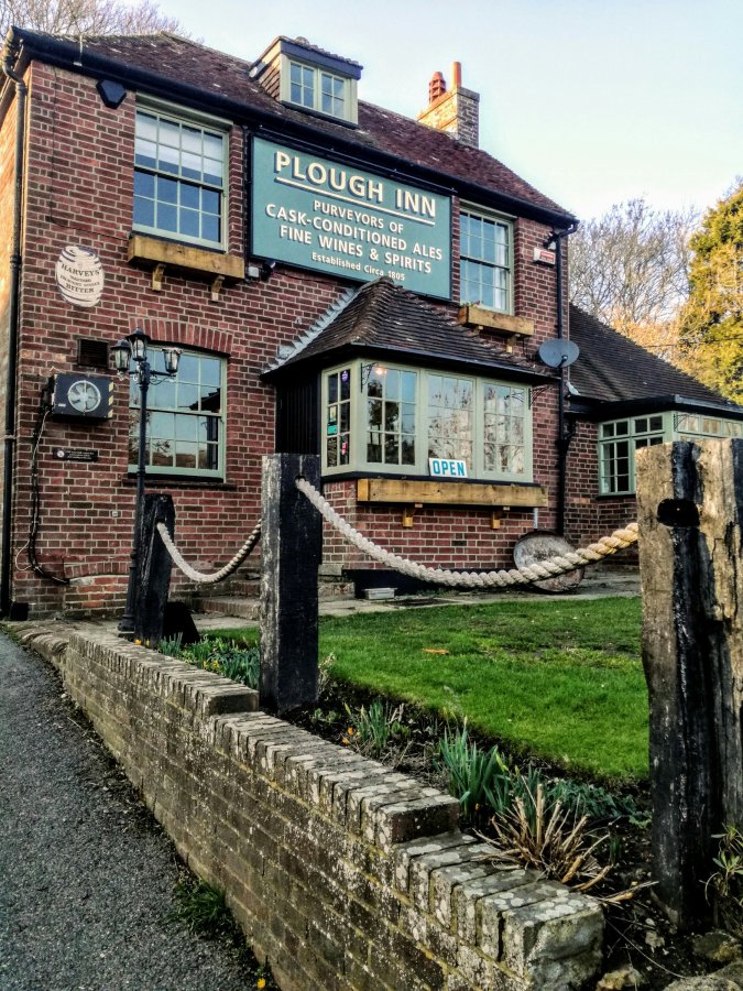 DEXY’S AFTERNOON JOGGERS