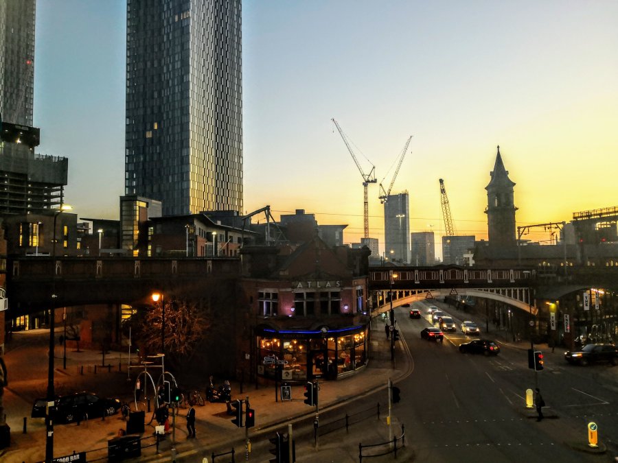 BULLS HEAD –&nbsp;BULLSEYE