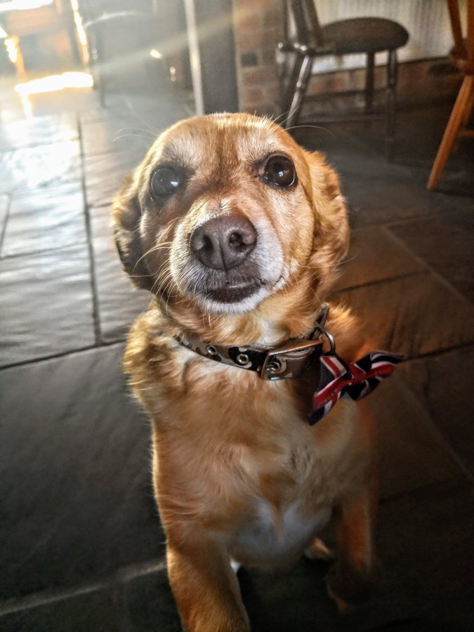 GIN, PUDDLES & PITCHFORKS AT CRADLEY&nbsp;BROOK