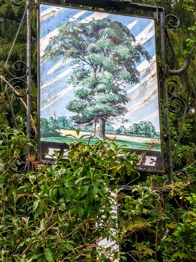 TONY HADLEY IPA – “YOU ARE BRONZE, BRONZE…”