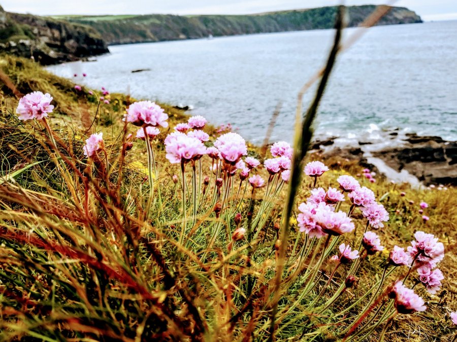 A LITTLE HAVEN, OF&nbsp;SORTS