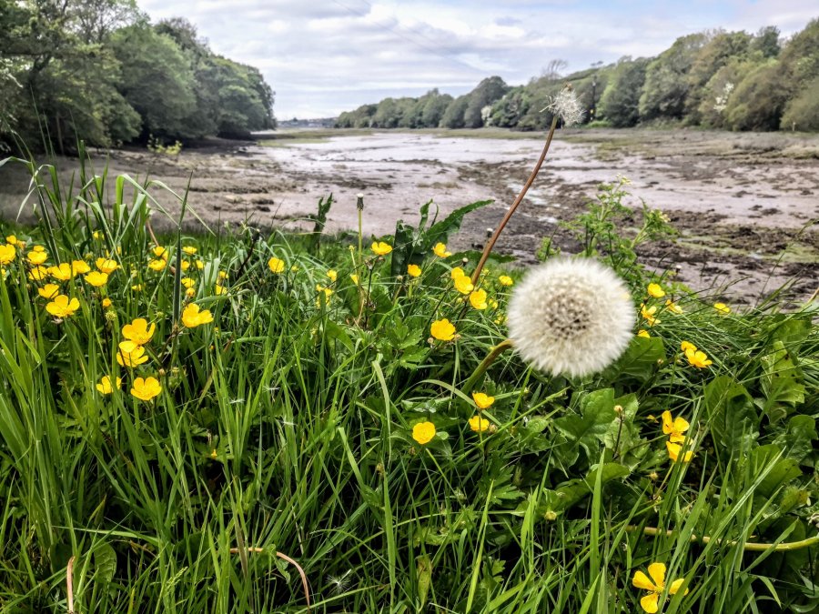 UNDER THE COSH IN&nbsp;COSHESTON