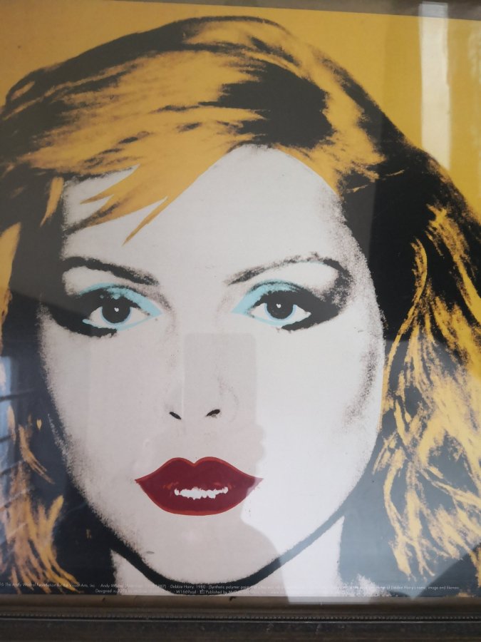 CHESTER – OFF THE&nbsp;WALL