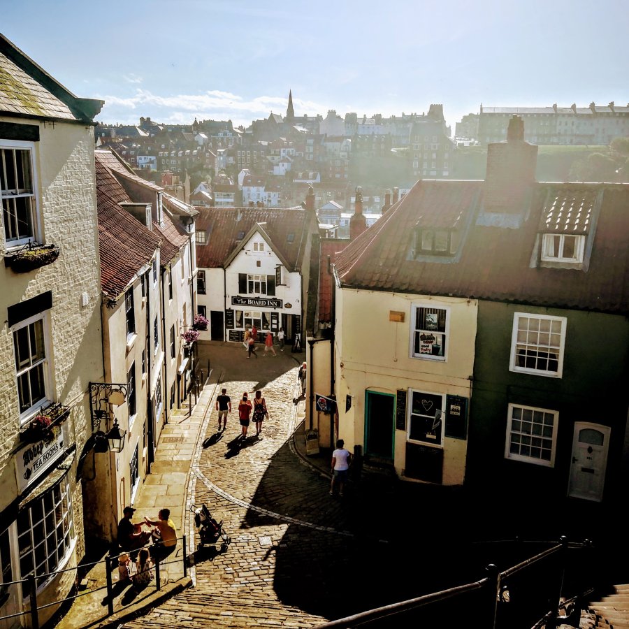 WHITBY, PEDIGREE, CHIPS