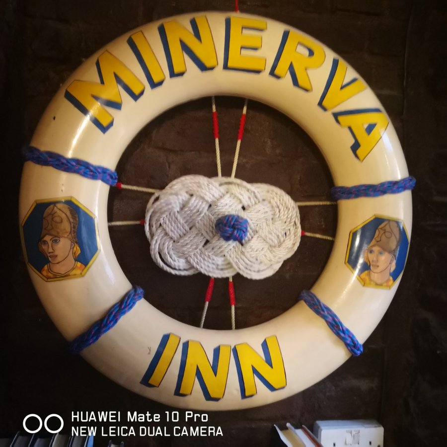 A DISTRACTION FROM THE&nbsp;DOLPHIN