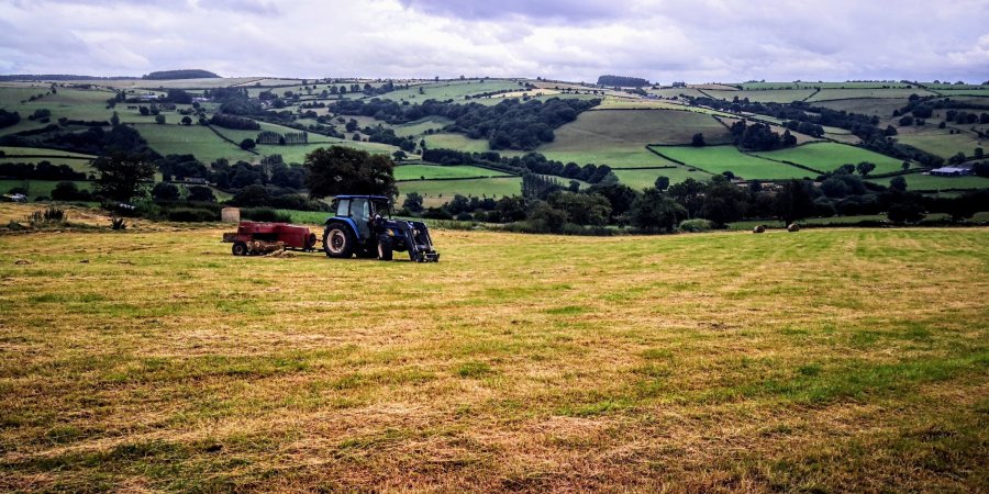 BEGUILED BY BEGUILDY