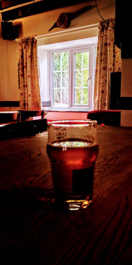 ENTERTAINING THE HERD IN BISHOPS&nbsp;LYDEARD