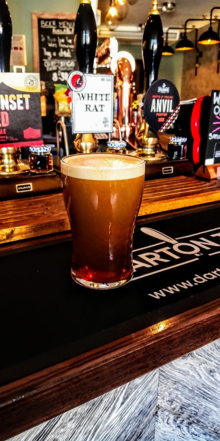 NO DISPOSABLE CAMERA **** IN THE DARTON&nbsp;TAP