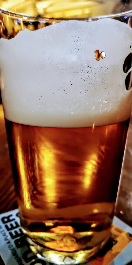 FROM THE RIDICULOUS TO THE SUBLIME….CAMBUSLANG