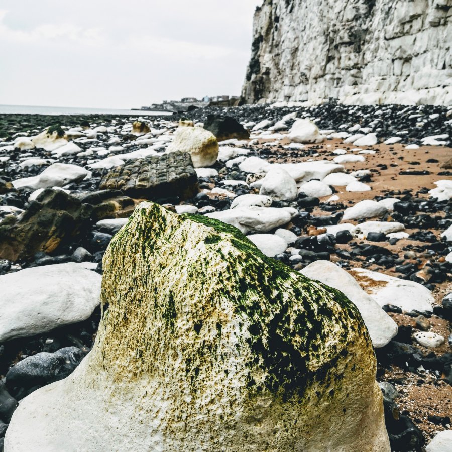 WHAT THE DICKENS !  A BROADSTAIRS&nbsp;BEAUTY