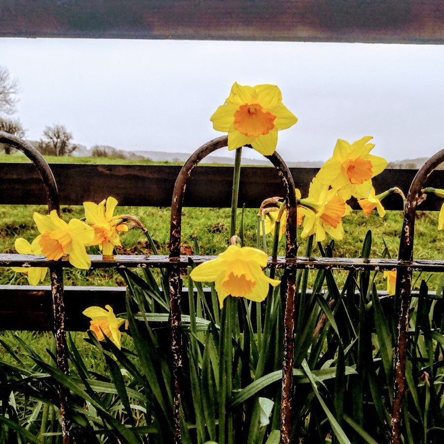 ABERYSTWYTH – TOO GOOD FOR&nbsp;STUDENTZ