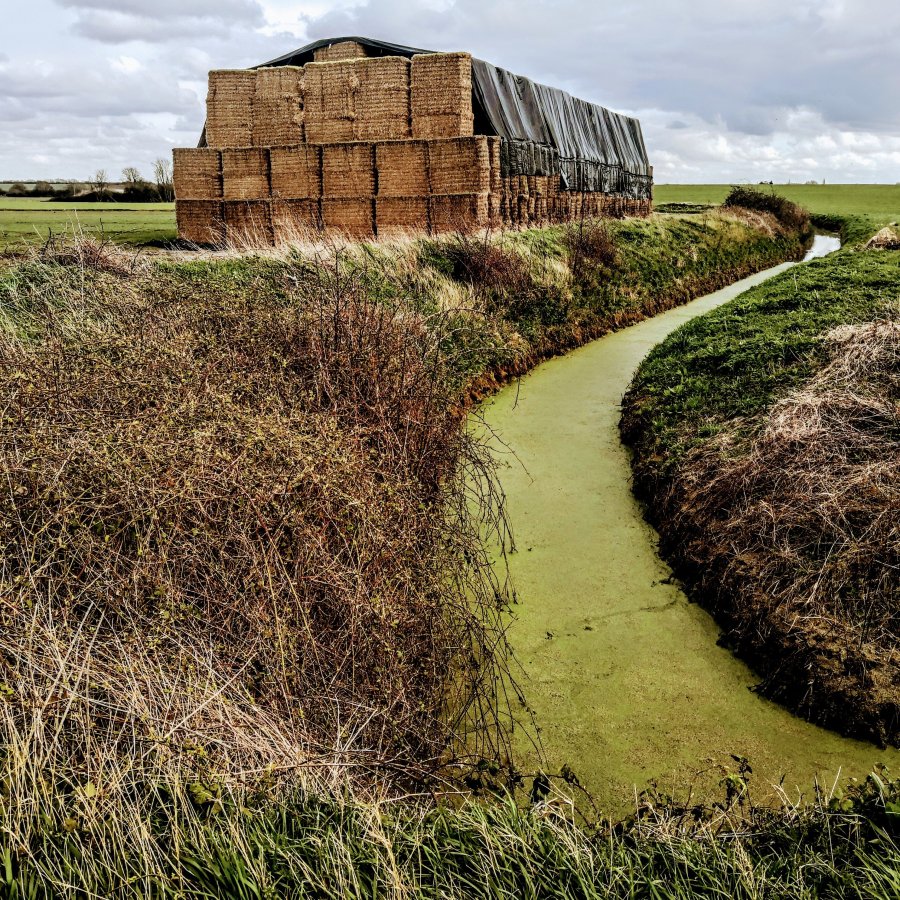 GRUMBLES IN GRUNTY&nbsp;FEN