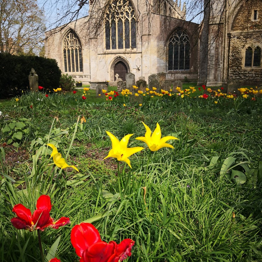 THE CHITTERING CLASSES