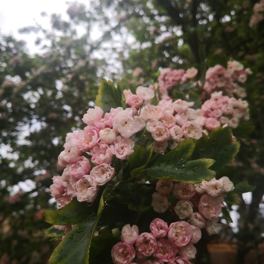 APRIL ’20 STOCKTAKE + MAY&nbsp;PREVIEW